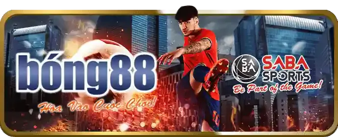 Cờ bạc an toàn và minh bạch