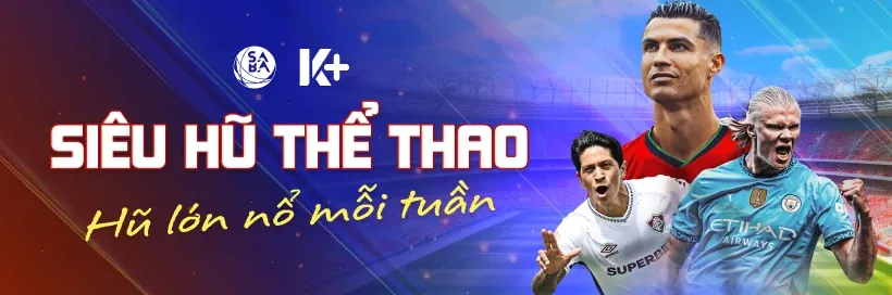 Trách nhiệm cá cược của 9vnd nhà cái